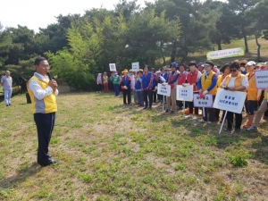 불로고분군 외래식물(큰곰계국) 제거 봉사활동 첨부파일